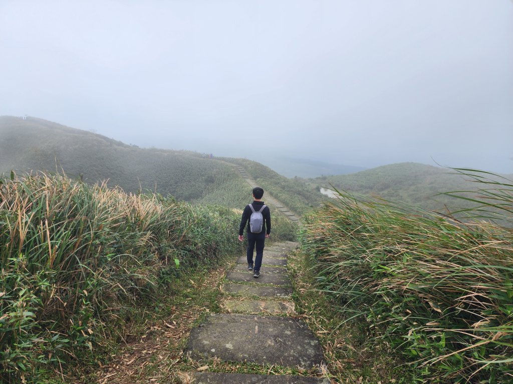 小百岳No.82⛰灣坑頭山封面圖