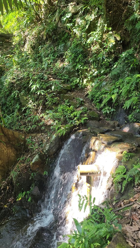 2025-0130溪和宮-大崎頭步道-鵝尾山-平溪步道-鵝尾山水田-42巷-溪山百年古圳-平菁步道_2701954