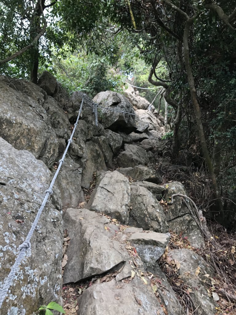 龍麟山封面圖