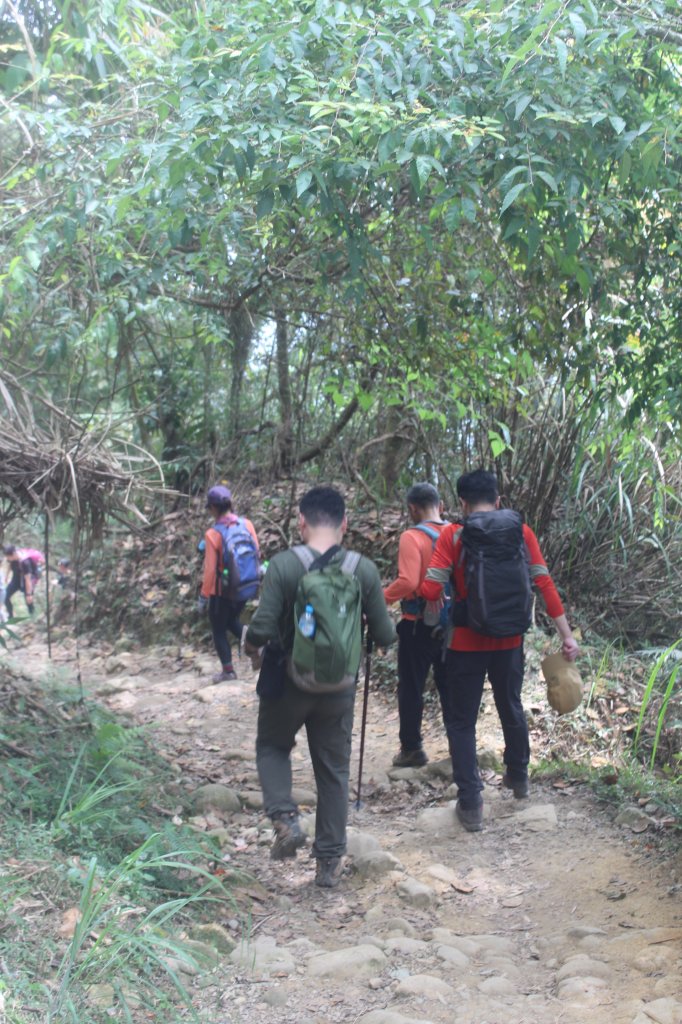 20240330台南雞九凍-雞胸山縱走_2470029