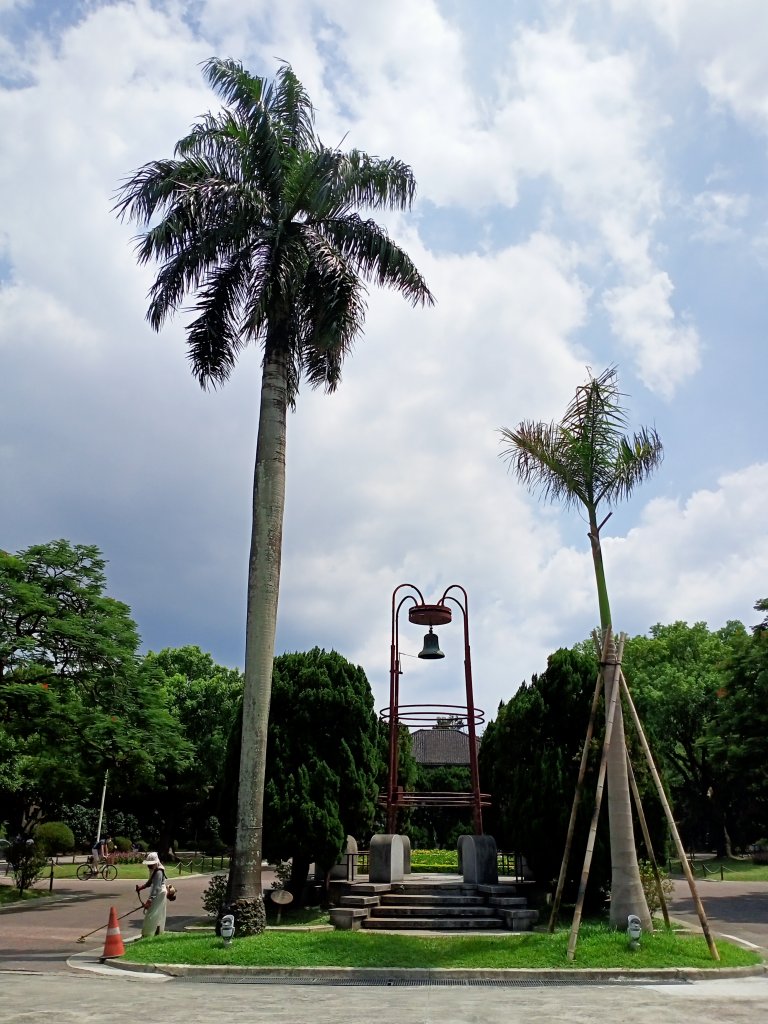 重遊臺灣大學校園_1803636