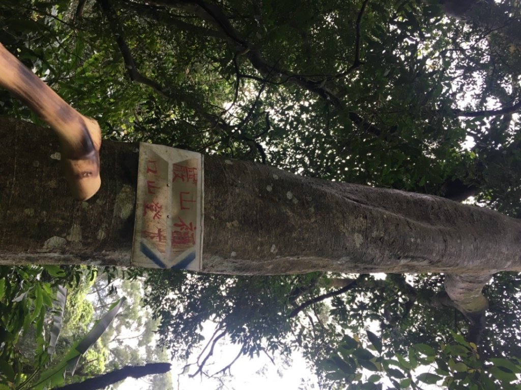 38溪洲山封面圖
