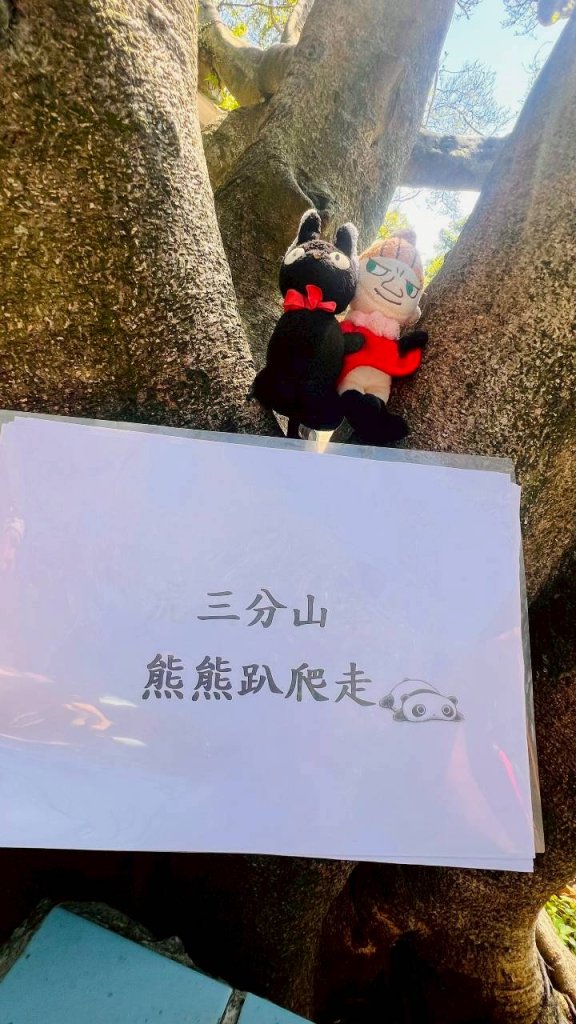 🌈11/8（六）桃園神社+虎頭山風景區尋找10連峰✨FB：熊熊趴爬走🌈_2932451