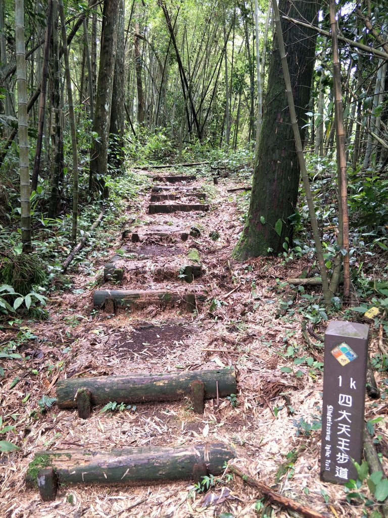 四天王山&瑞水步道20210505_1419578