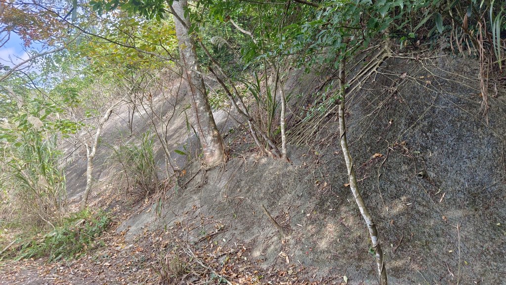 (姨婆趴趴走)第四十六集:新竹關西赤柯山及南峰、東西獅頭山、馬福山環狀縱走_2685781