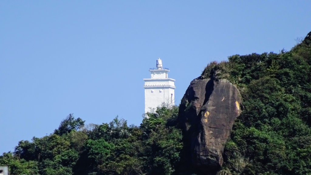 太平青鳥O圈封面圖