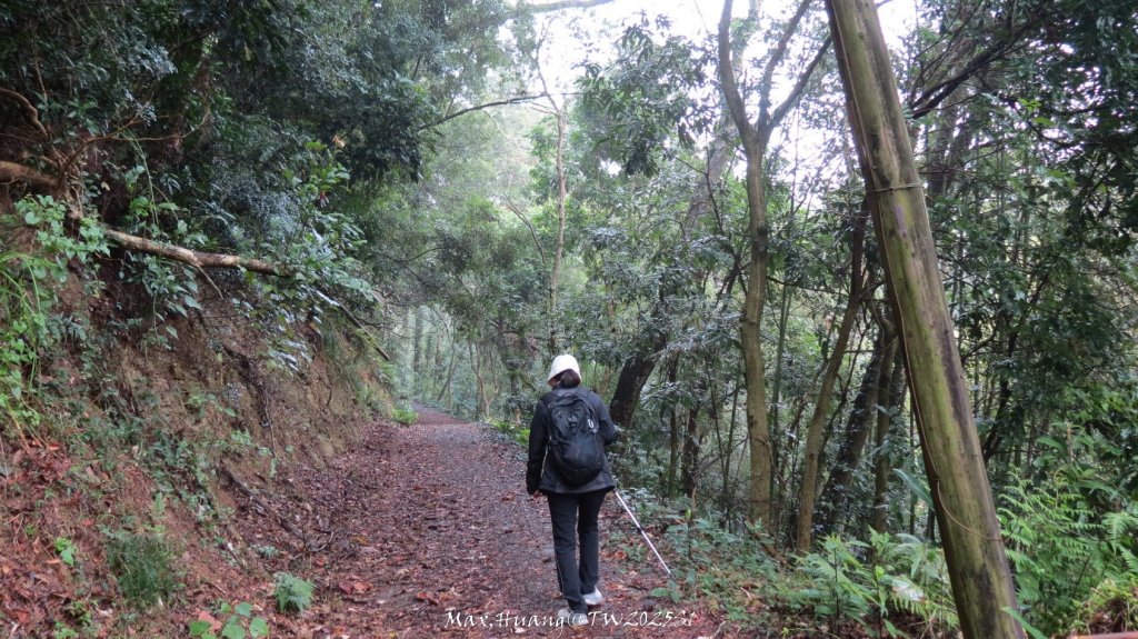 《苗栗》台鐵舊山線｜三義勝興鐵道覓境及挑柴古道O繞20250119_2693569