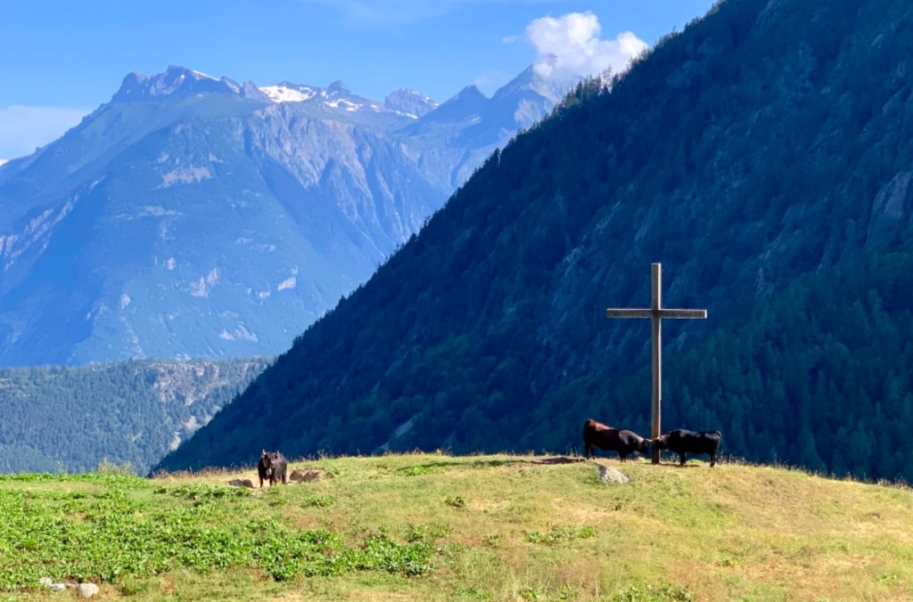 TMB 「環白朗峰步道」健行_655188