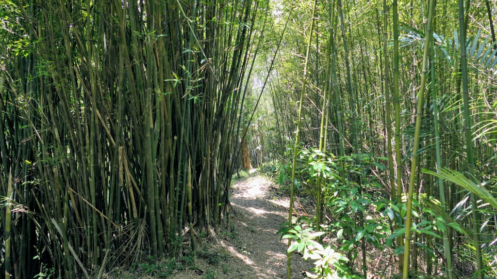 牛稠尾山,聖明山封面圖