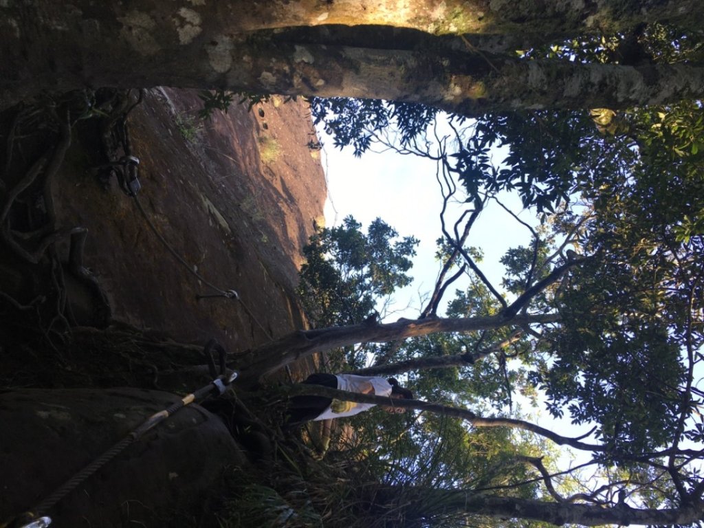 峭壁雄峰_2531661