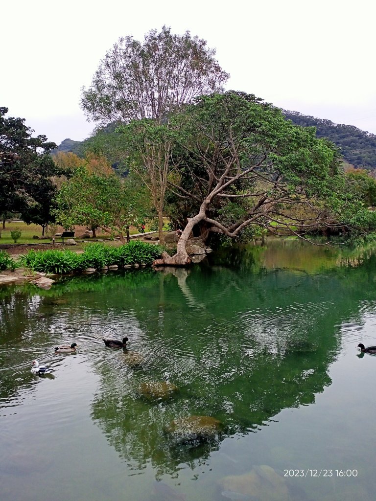 四訪苗栗的花果山-小百岳#037馬那邦山、雪霸國家公園管理處【小百岳集起來、苗栗-臺灣百大必訪步道】_2394378