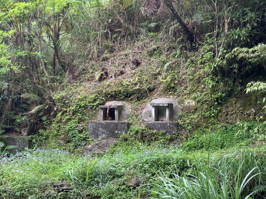 五分山封面圖