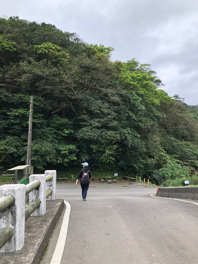 2021.03.13草嶺古道_1493351