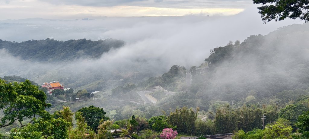 #雲瀑 #雲海 #琉璃光 #天空之城（林口）#觀音山 #林梢步道 3/1封面圖