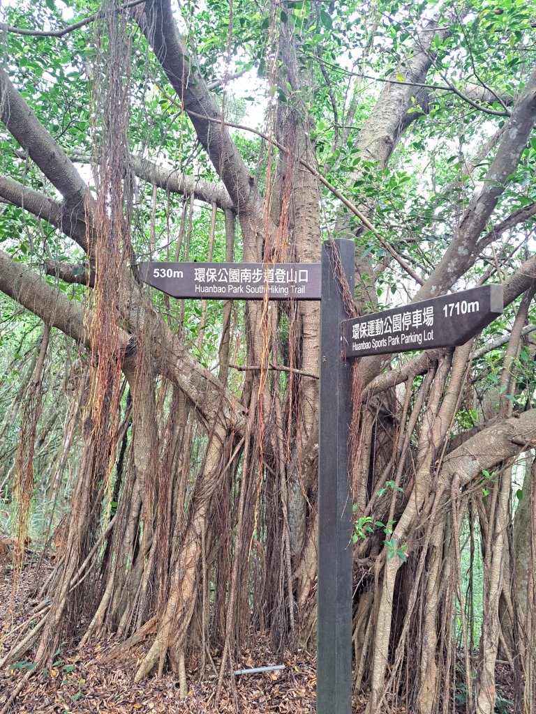 大肚環保公園登山步道20230910封面圖