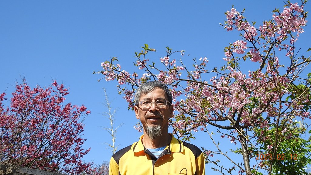 山羊阿公陽明山賞花趣_2027479