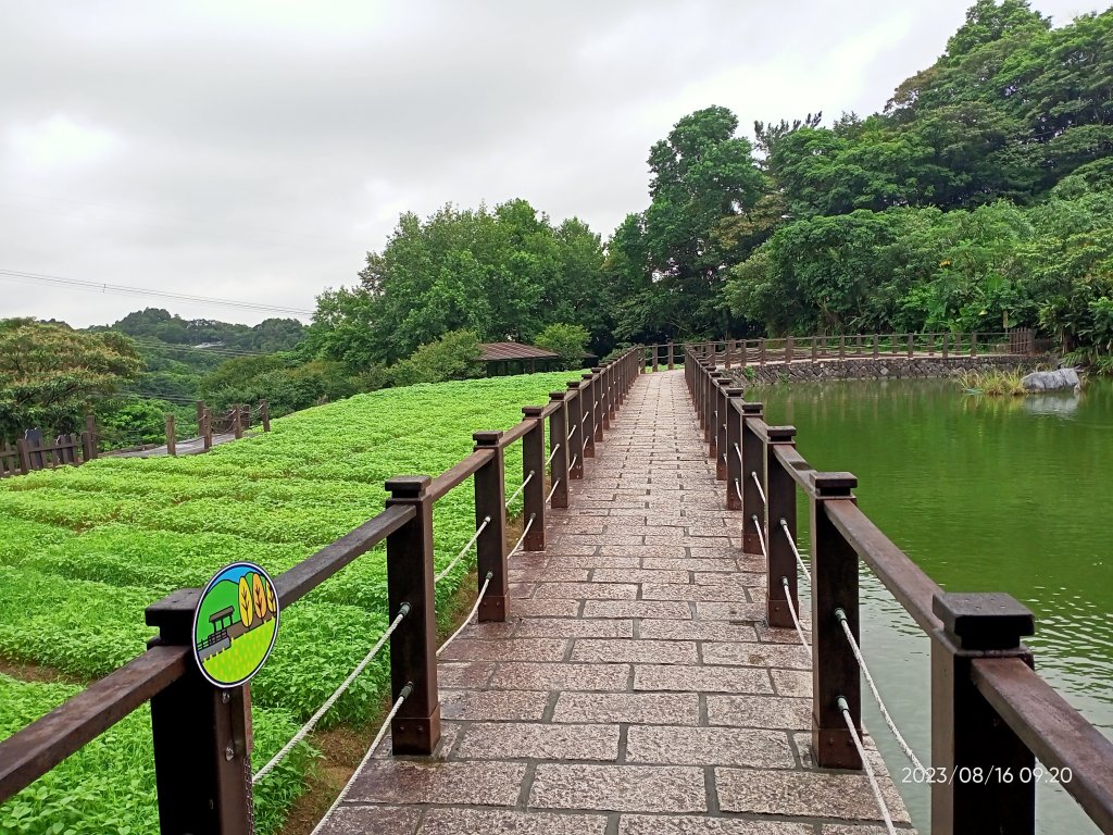 【臺北大縱走 7】樟山寺→樟樹步道→指南宮貓空親山步道→茶展中心步道→大成殿步道→指南宮竹柏參道封面圖