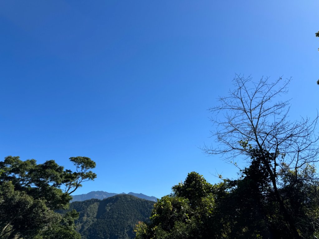 高雄市桃源區小百岳NO.68藤枝山(2-1664)，藤枝林道寶山巷17.1K反光鏡登山口_2357557