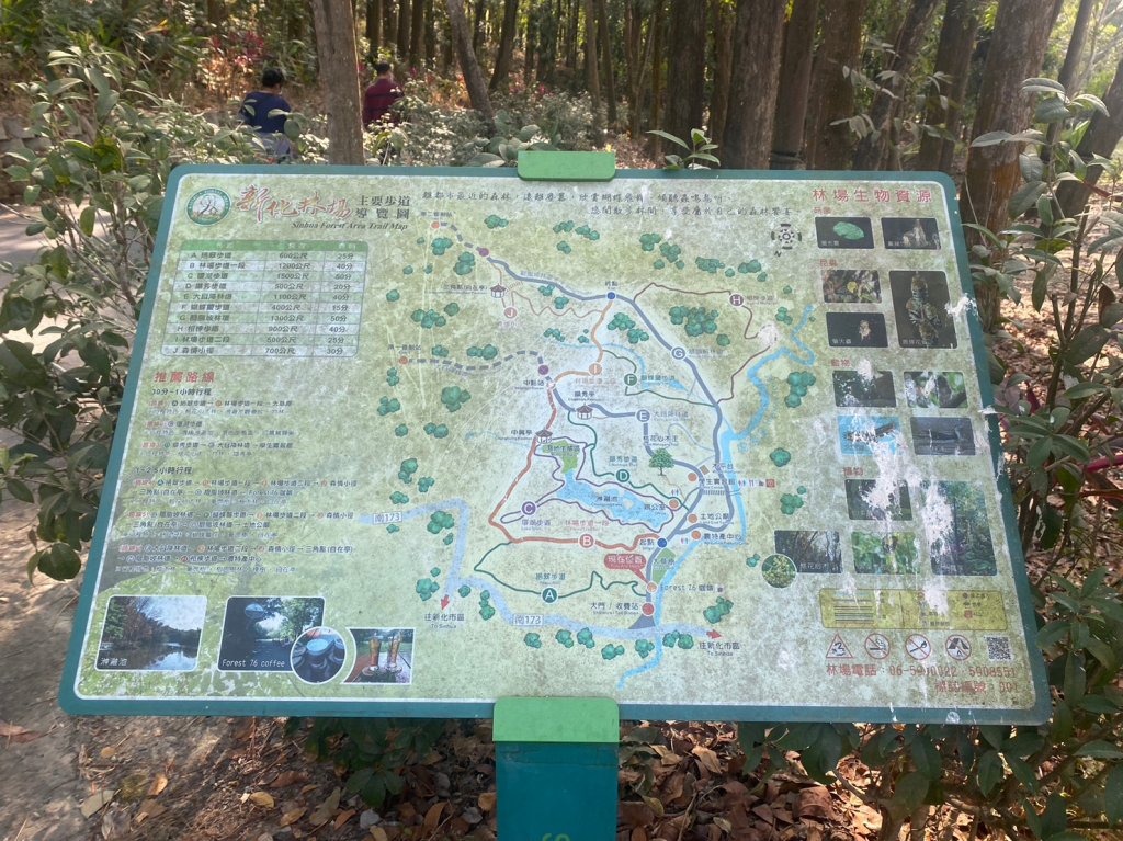 台南-新化林場封面圖