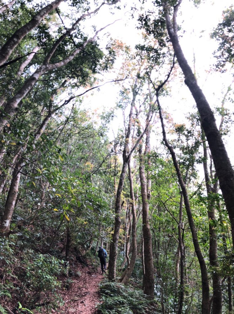 1090307上島山_870919