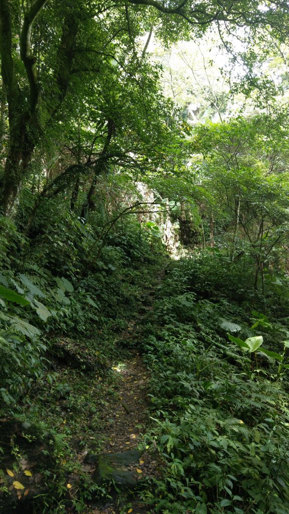 新溪洲山之樂_400404