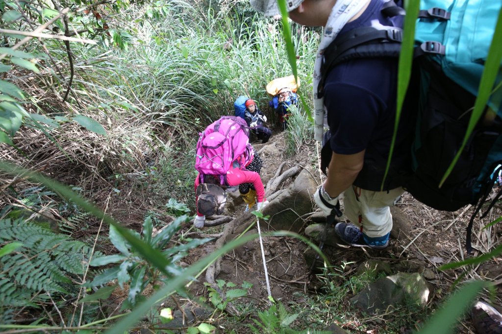 水樣森林 第一次在山裡過夜_658585