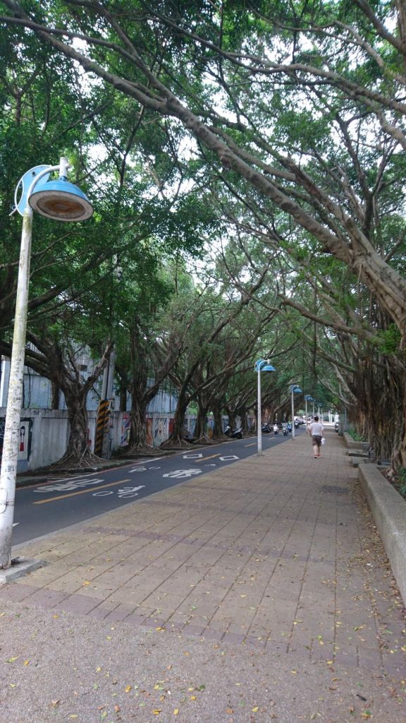 虎頭山公園步道_350361