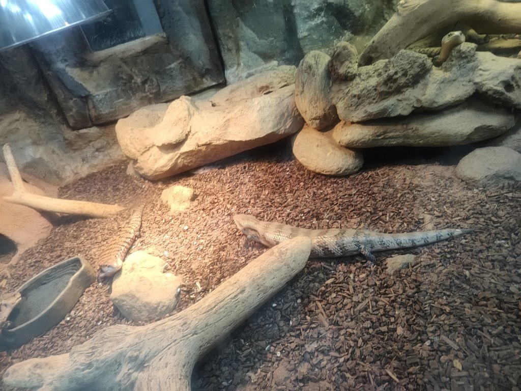 台北動物園_2663997