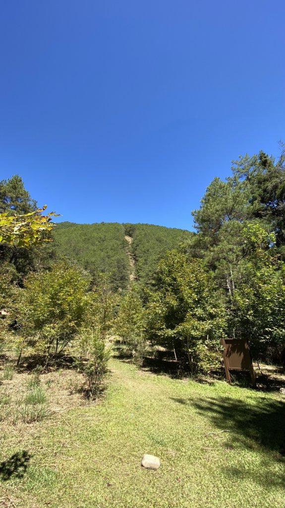 志雪劍之旗_1488499