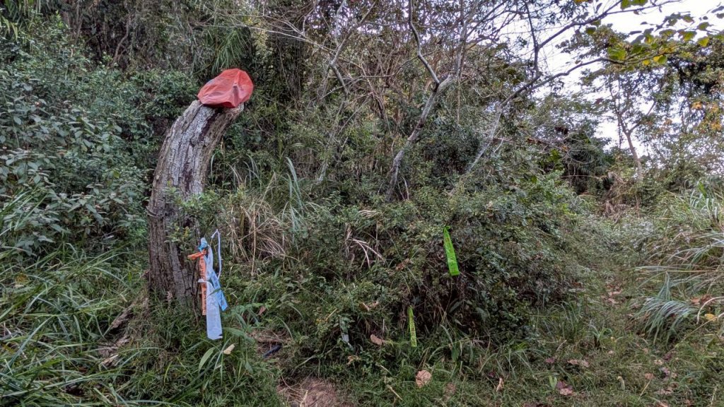 大橫屏山步道_2977356