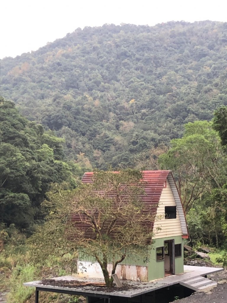 寒溪古魯林道、大元山_1577299