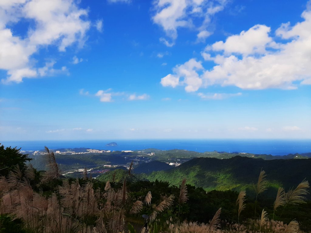 愛在秋芒紛飛時...五分山_2353763