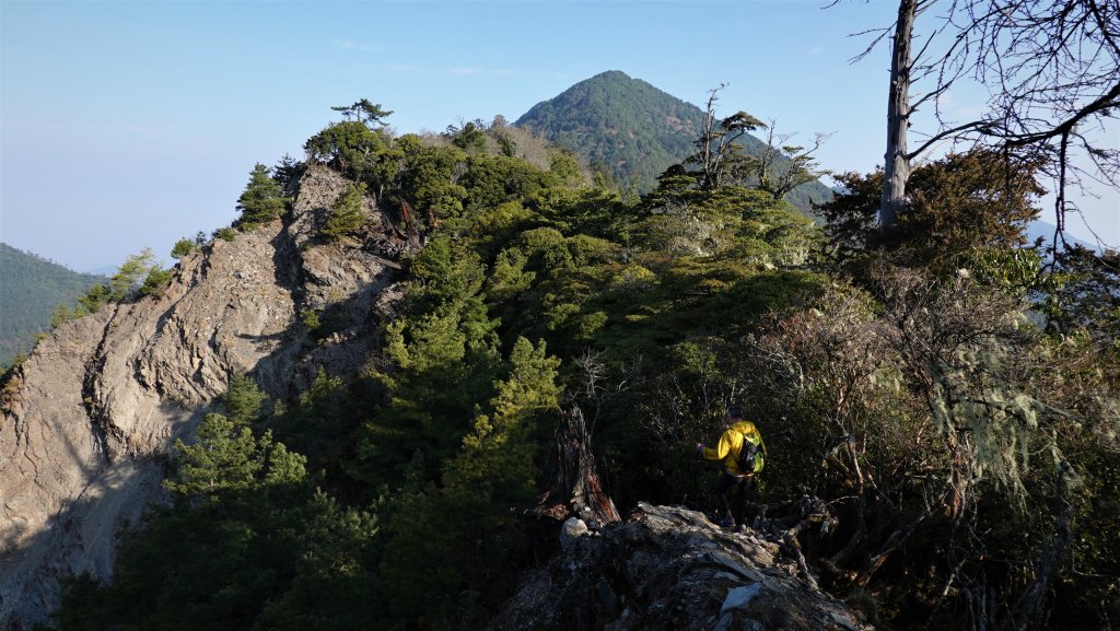 山行漫遊郡大林道上的清水金子郡大三美山 健行筆記