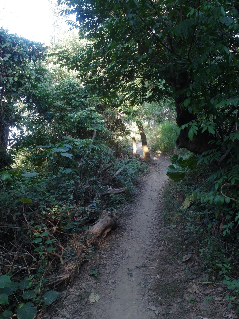 彰化桃源里步道~坑仔內山~八卦禪寺_92369