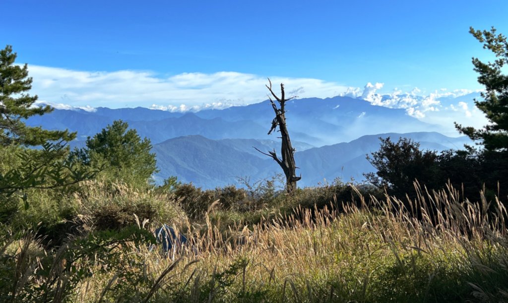 值得為它緩慢⋯白姑大山_1487677