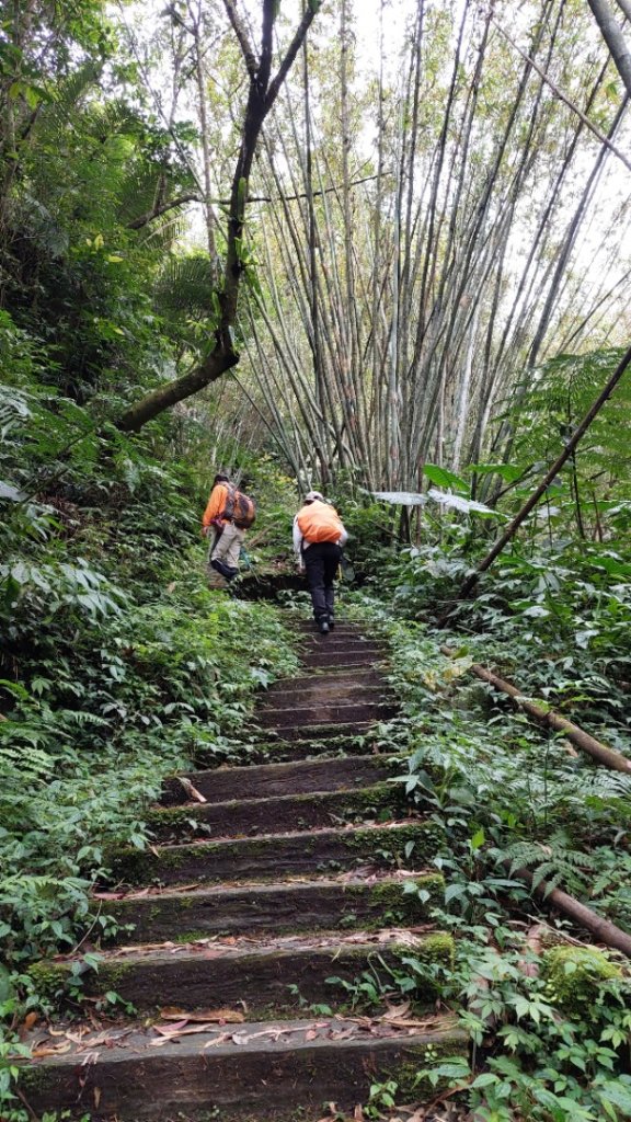 桃園復興金牌縱走_2763266
