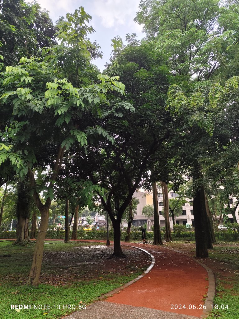 大安森林公園、寧夏夜市、士林夜市【走路趣尋寶】【臺北健走趣】_2536342