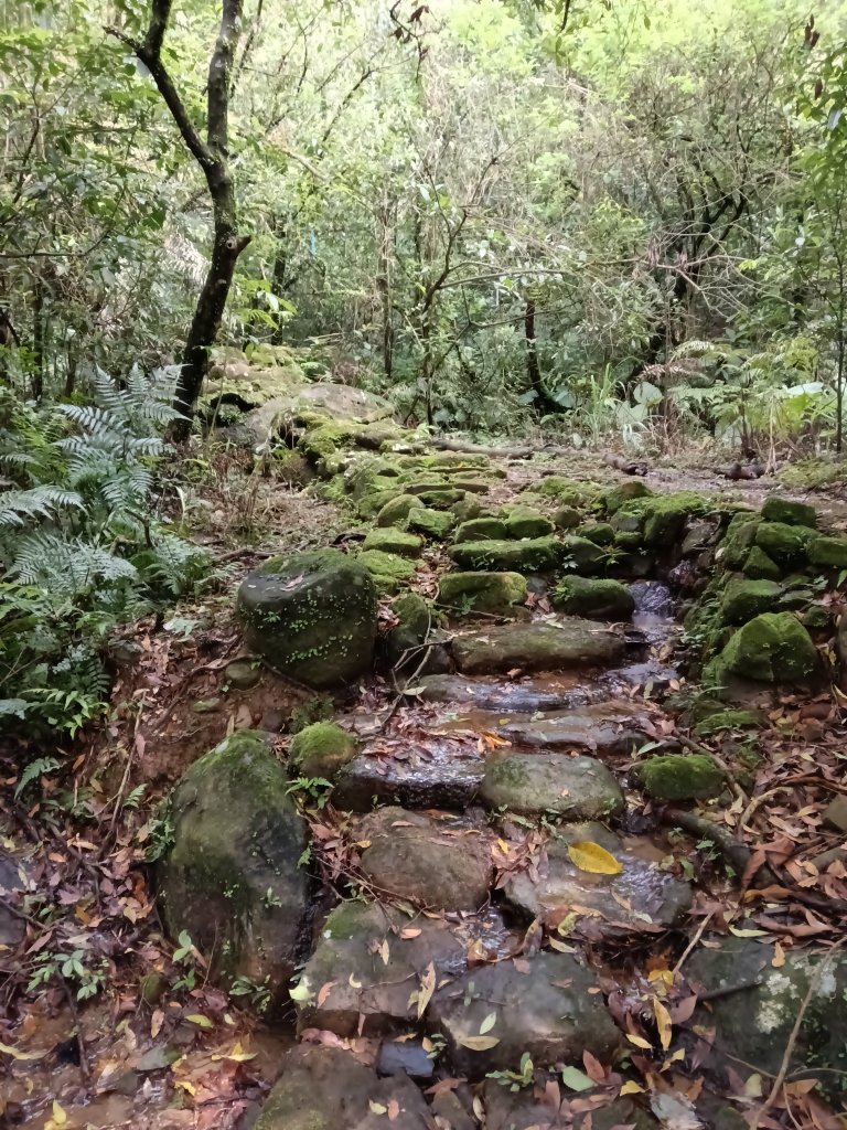 雙溪區三叉港+遠景古道+楊廷理古道+雞母嶺街O型_2758630