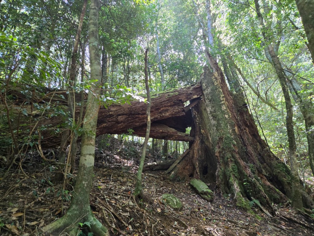 哈堪尼山_2761956