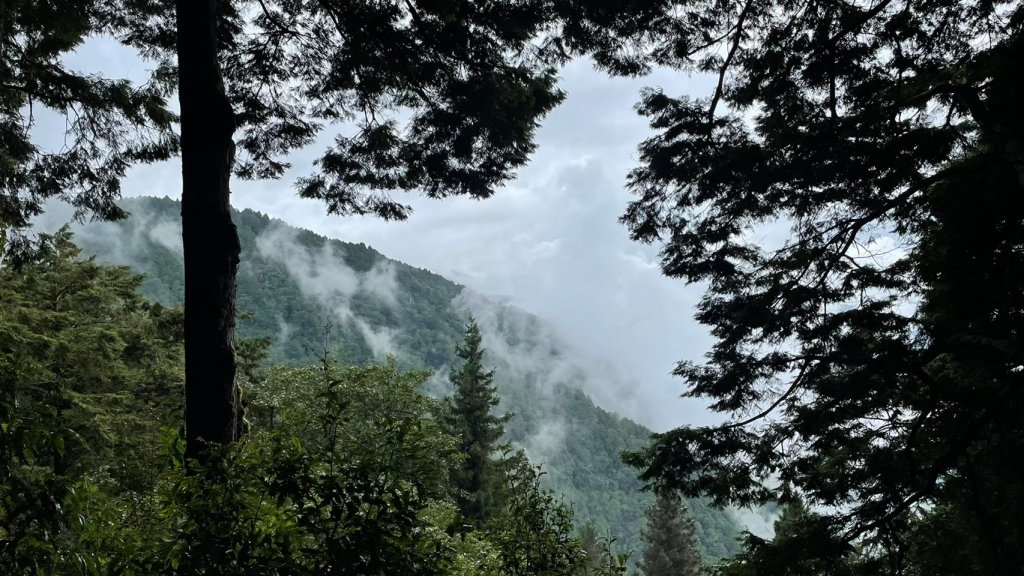 宜蘭｜大同 見晴懷古步道_1487910