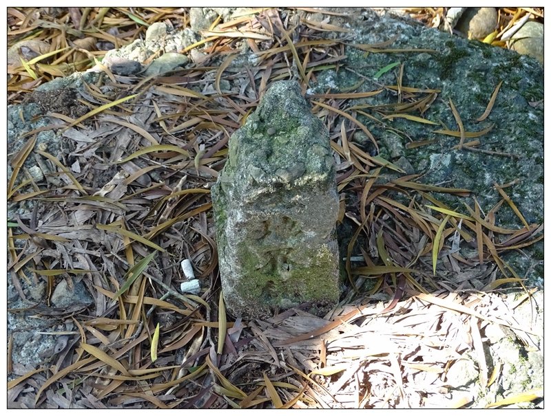 豐原/ 公老坪旱溪源頭步道_689935