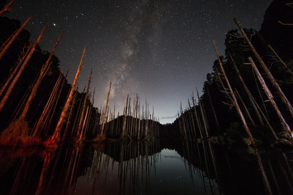 水樣森林 第一次在山裡過夜_659641