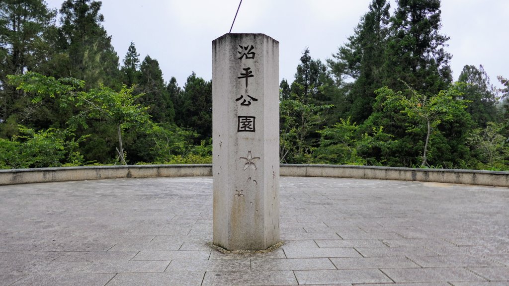 阿里山森遊區-神木步道_2536911