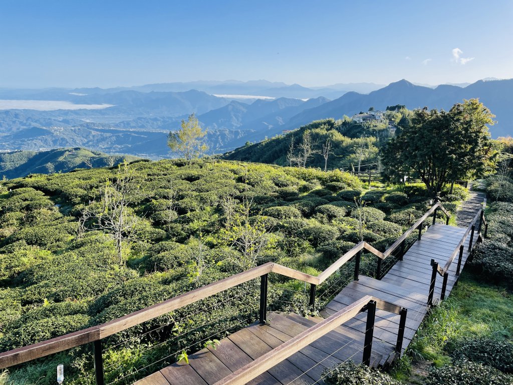 樟空崙山、貓冬望山、大崙山 輕鬆撿_1671914