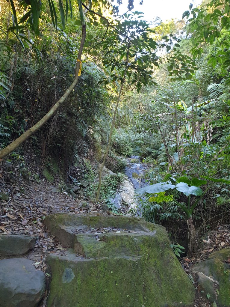 冬 / 冷冬暖陽石牛山_1236497