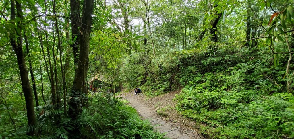 2021-09/19-宜蘭礁溪- 抹茶山三角崙山_1466409