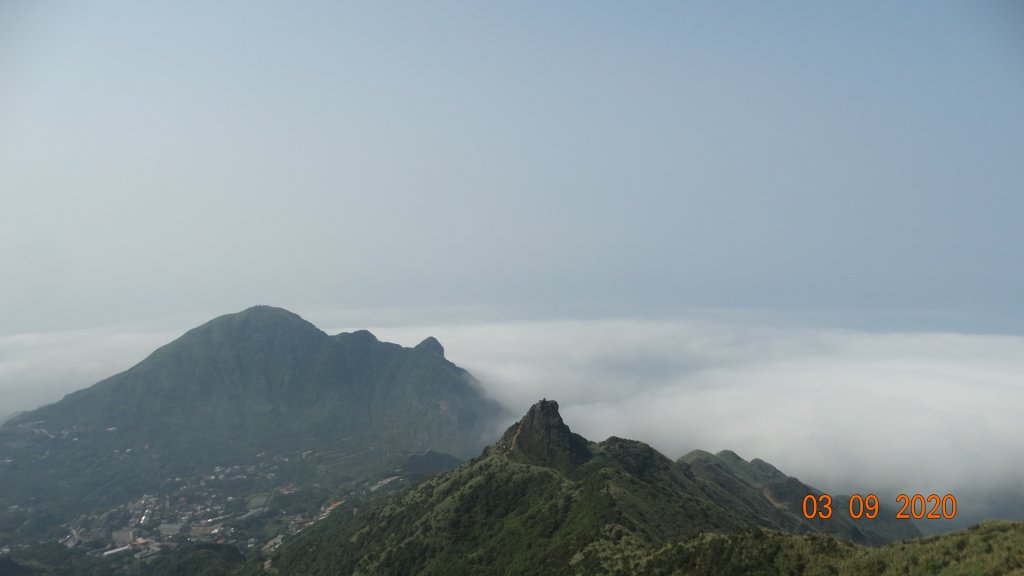 九份雲海2020 II_872990