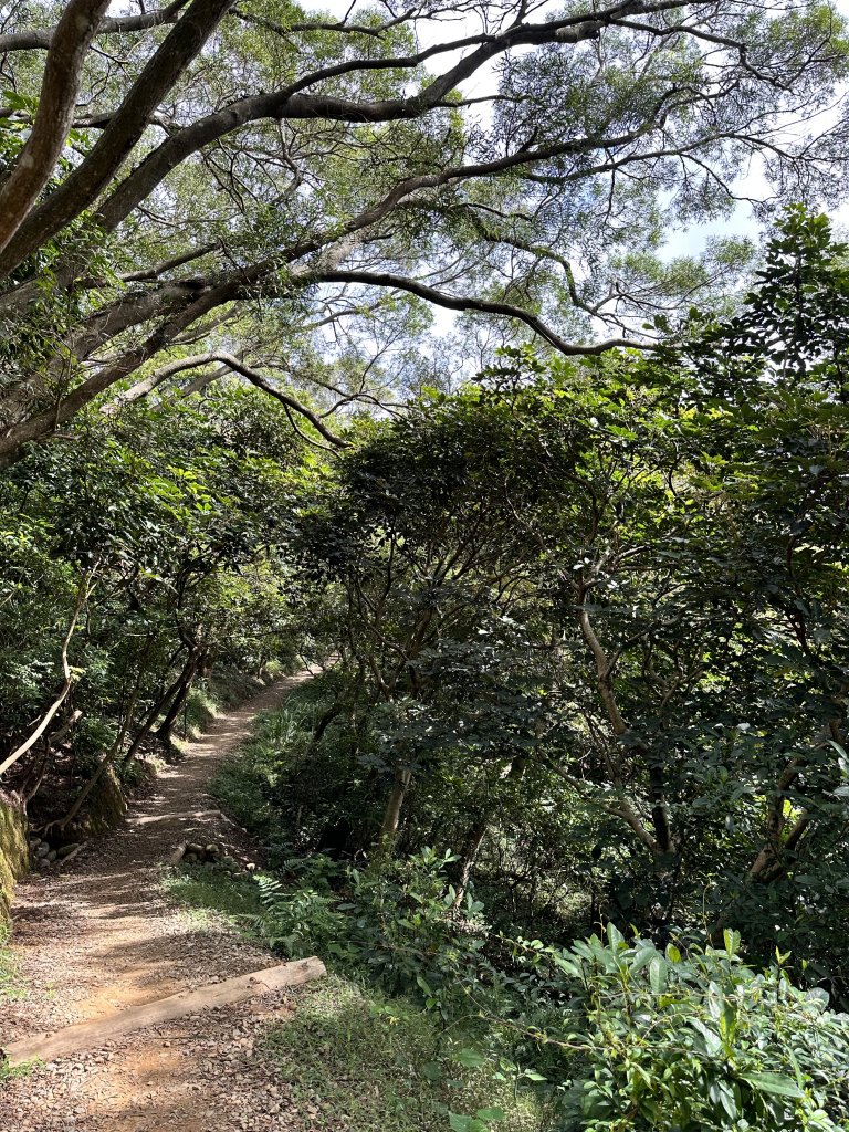 醉翁之意不在酒的【五酒桶山步道】輕鬆走～_1900620