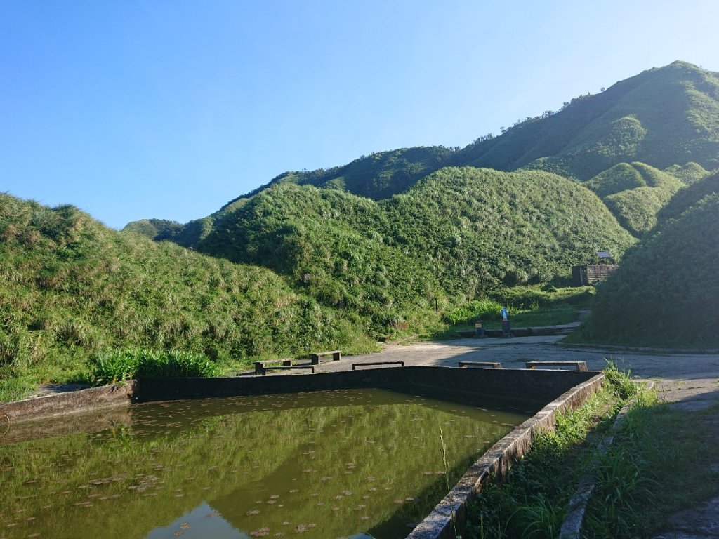 去了還想再去的抹茶山（聖母山莊）_1029617