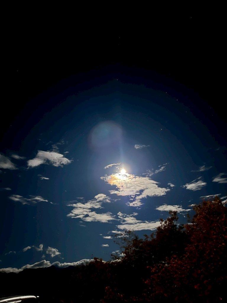 新竹 五峰 觀霧國家森林遊樂區 蜜月小徑+檜山巨木群步道_2811441